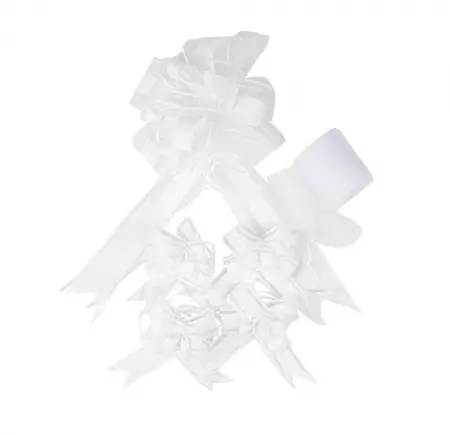 KIT DE DECORATION DE VOITURE BLANC 