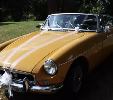 KIT DE DECORATION DE VOITURE BLANC 