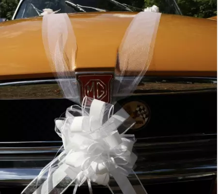 KIT DE DECORATION DE VOITURE BLANC 