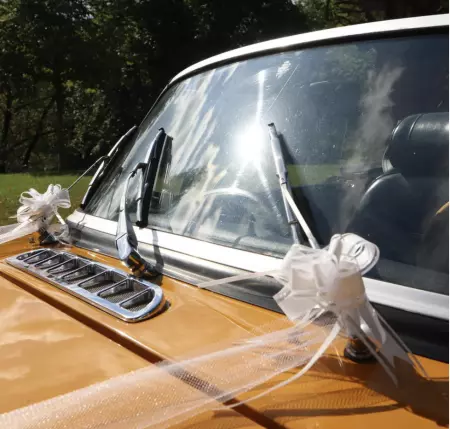 KIT DE DECORATION DE VOITURE BLANC 