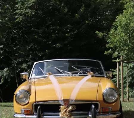 KIT DECO DE VOITURE OR 