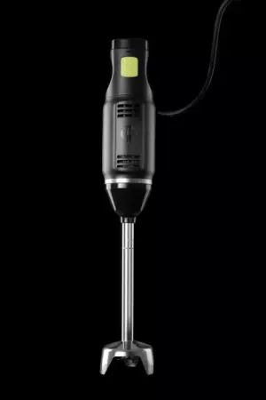 Mixeur plongeur- Bronwasser 6 vitesses 250W