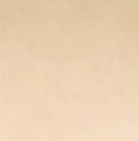 NAPPE \'SPUNBOND\' 60 G/M2 1,20x50 M CREME PP (1 UNIT&Eacute;)