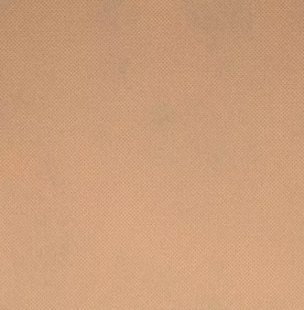 NAPPE \'SPUNBOND\' 60 G/M2 1,20x50 M SABLE PP (1 UNIT&Eacute;)