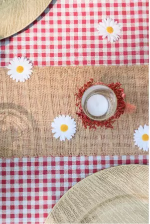 NAPPE VICHY ROUGE 140CM X 250CM