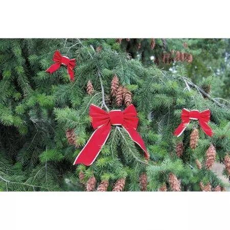 Noeud rouge velour taille M