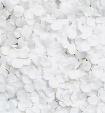 PANNEAU FLORAL FLEURS HORTENSIA BLANC 60CM X 40CM X 5CM