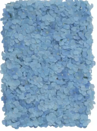 PANNEAU FLORAL FLEURS HORTENSIA BLEU 60CM X 40CM X 5CM
