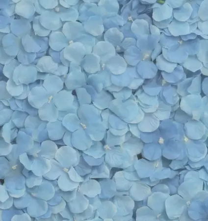 PANNEAU FLORAL FLEURS HORTENSIA BLEU 60CM X 40CM X 5CM
