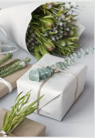 Papier Sizograss 0.60x25m CREME