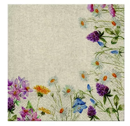 PAQUET DE 20 SERVIETTES PAPIER 33X33CM 3 PLIS FLEURS DES CHAMPS WE CARE