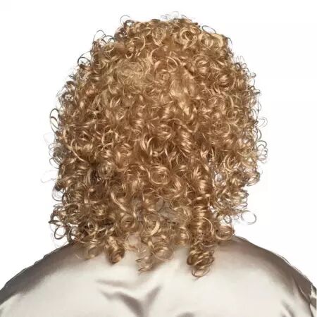 Perruque chanteur + lunettes