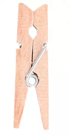 PINCES 3,5 (h) CM NATUREL BOIS (100 UNIT&Eacute;)