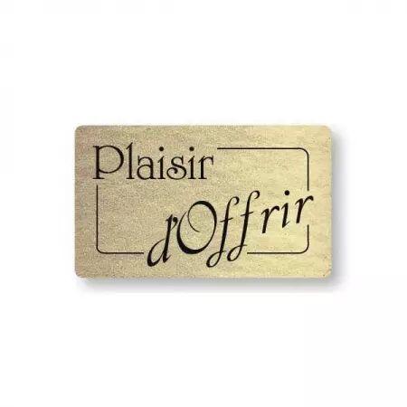 PLAISIR D\'OFFRIR RECT  OR BRILLANT / ETS17