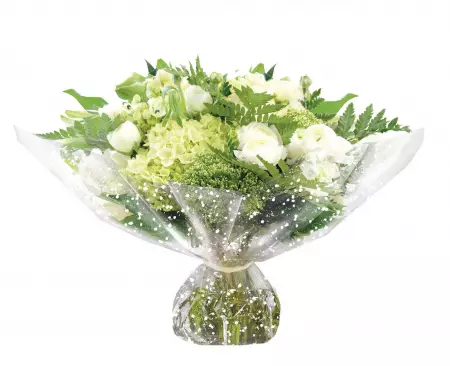 Polypro D&eacute;cor 0.80x120m 35&micro; GYPSOPHILE