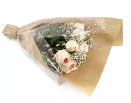 Polypro D&eacute;cor 0.80x120m 35&micro; GYPSOPHILE