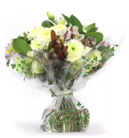 Polypro D&eacute;cor 0.80x120m 35&micro; IVY