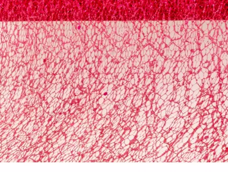 RUBAN DE TABLE GLITTER ROUGE