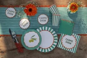 SERVIETTE DOLCE VITA  CELADON 33 x 33 cm C&eacute;ladon 