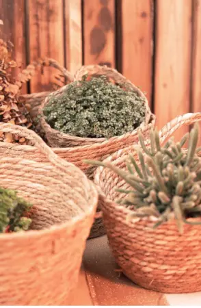  SET 4 PANIERS JONC NATUREL ANSE