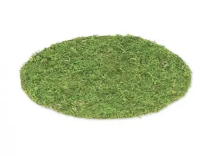 Set de Table V&eacute;g&eacute;tal Mousse Naturelle ⌀35cm