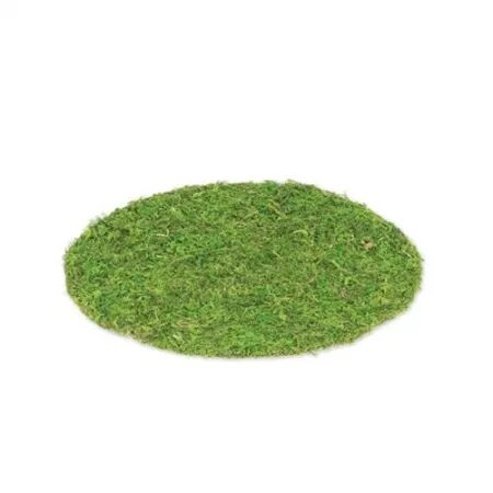 Set de Table V&eacute;g&eacute;tal Mousse Naturelle ⌀35cm