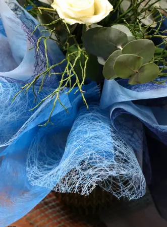 Sizoweb 0.30x5m BLANC