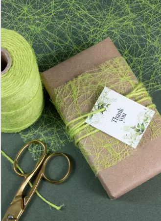 Sizoweb 0.30x5m MENTHE