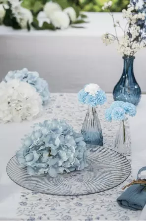 SOUS ASSIETTE PS TRANSPARENTE SHELL DIA 33CM