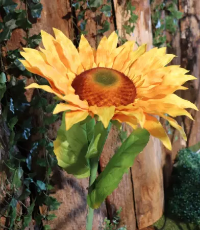 TOURNESOL SUR TIGE DIA 38CM X 108CM