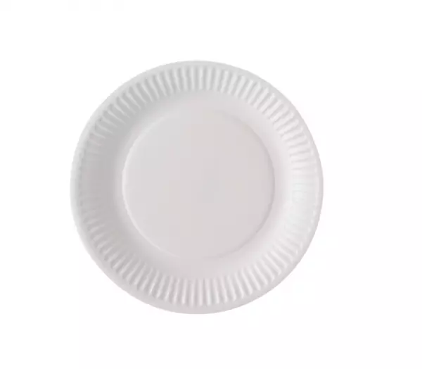 1 000 ASSIETTES CARTON D18 BLANCHE 