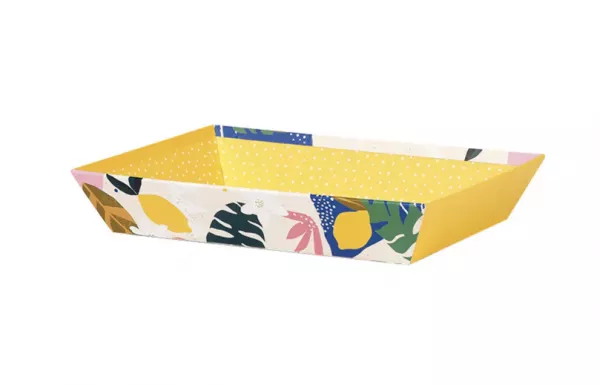 1 CORBEILLE CARTON JARDIN D\'AGRUMES 33x 20x 7cm