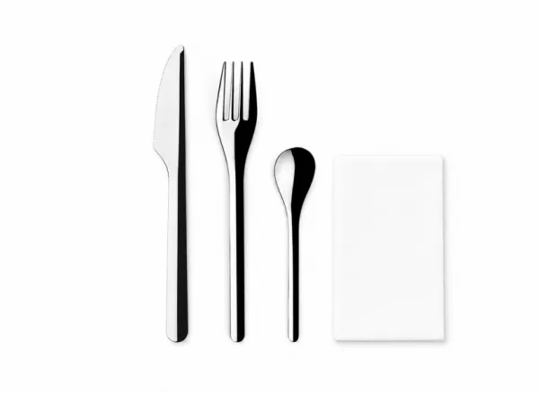 1 KIT COUVERT INOX FOURCHETTE/COUTEAU/P-CUILLERE/SERVIETTE