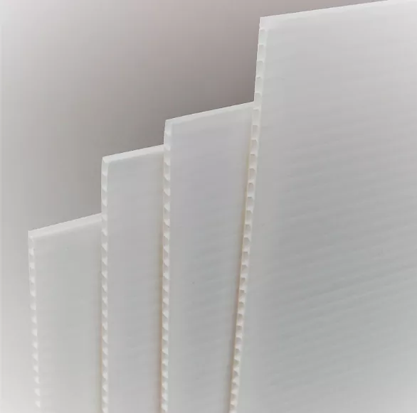1 Plaque polypropyl�ne alv�olaire - 800 x 1200 mm