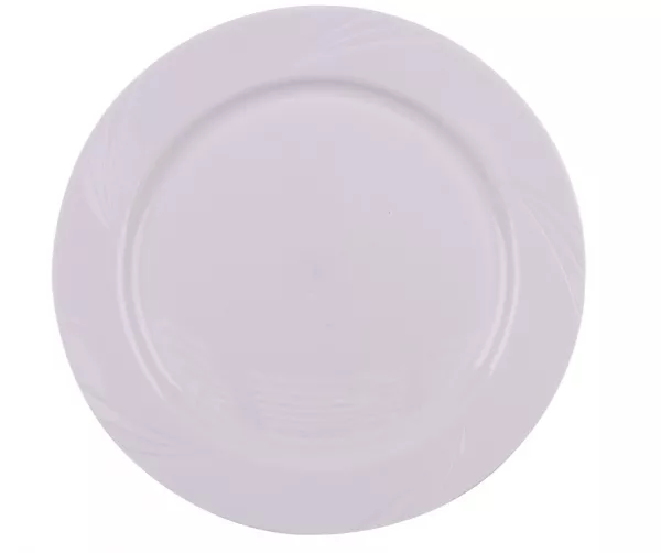 10 ASSIETTES PICNIK 22CM / ISV61220BL
