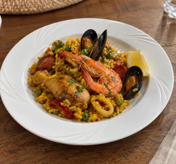 10 ASSIETTES PICNIK 22CM 