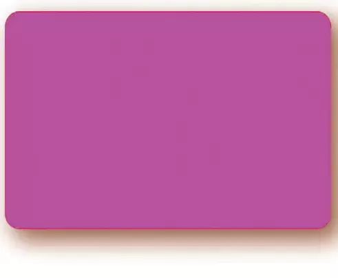 10 Etiquettes 6x8cm fluo ROSE / 023104
