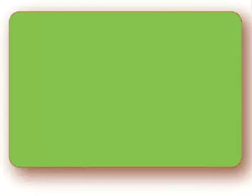 10 Etiquettes 6x8cm fluo VERT / 023102