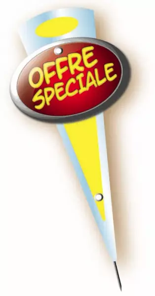 10 Mini Fl�ches 6x14cm Pique Inox OFFRE SPECIALE