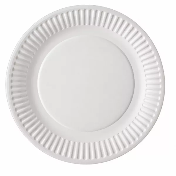 100 ASSIETTES D23 CARTON BLANC 