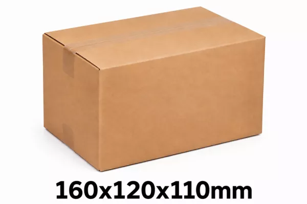 100 CAISSES CARTON SC 160x120x110mm