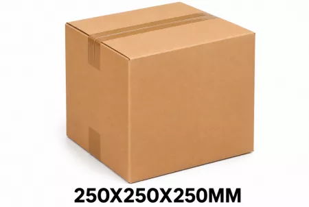100 CAISSES CARTON SC 250x250x250mm