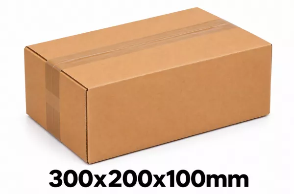 100 CAISSES CARTON SC 300x200x100mm