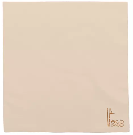 100 SERVIETTE BAMBOU 20X20 /GA252.98