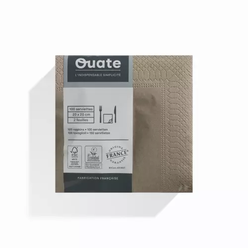 100 Serviettes 2 plis 20x20 ARGILE