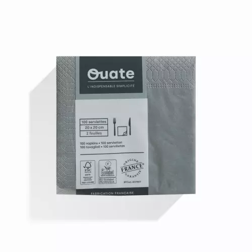 100 Serviettes 2 plis 20x20 BETON