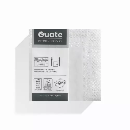 100 Serviettes 2 plis 20x20 BLANC