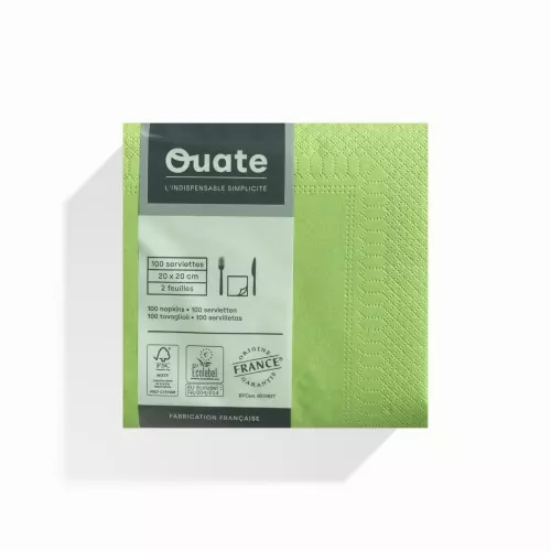 100 Serviettes 2 plis 20x20 PISTACHE