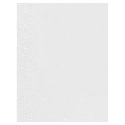 100 Serviettes Ouate 2 plis 30x39 BLANC
