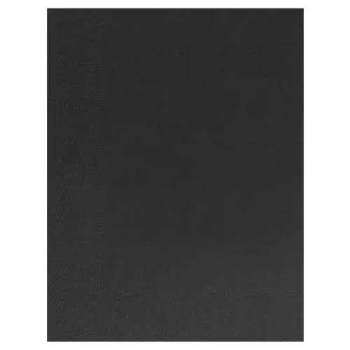 100 Serviettes Ouate 2 plis 30x39 EBENE